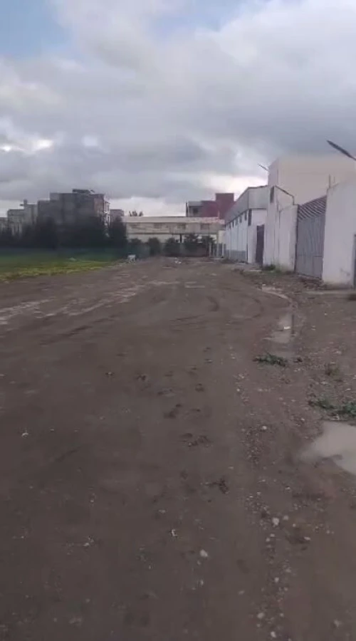 Location Terrain Blida Chebli