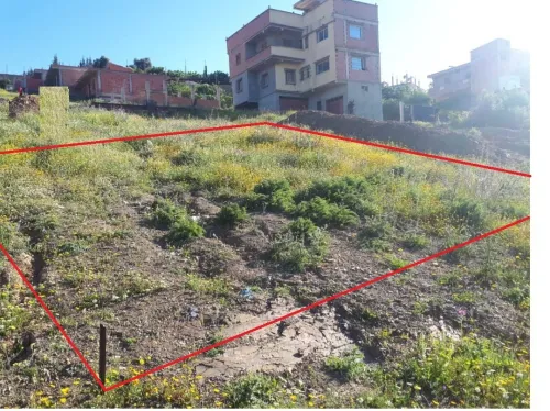 Vente Terrain Blida Bougara