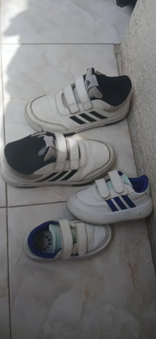 Basquettes adidas
