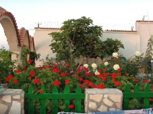 Location Villa Tipaza Tipaza