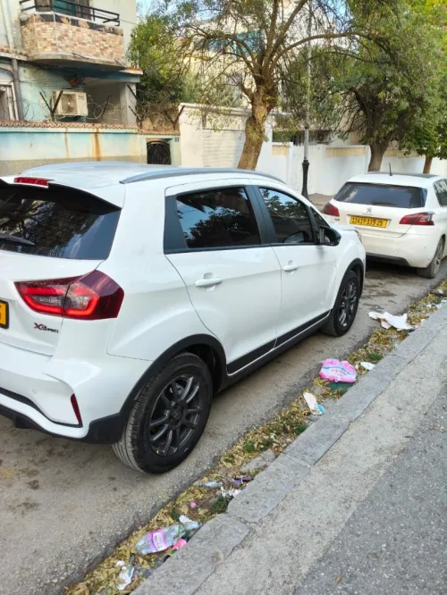 Livan X3 Pro  2025 Auto