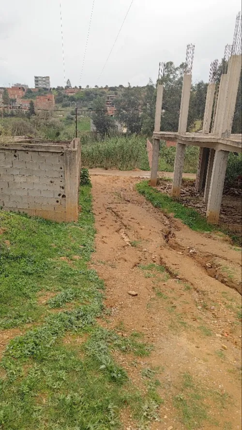Vente Terrain Boumerdès Zemmouri