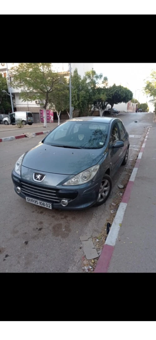 Peugeot 307 2008 Oxygo