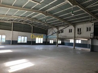 Vente Hangar - Usine Alger Reghaia