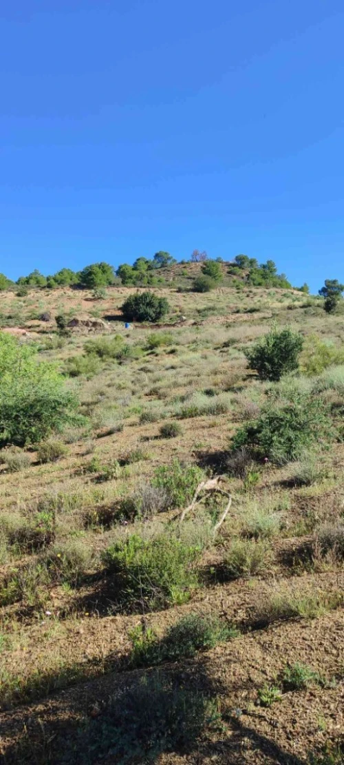 Vente Terrain Béjaïa Amalou