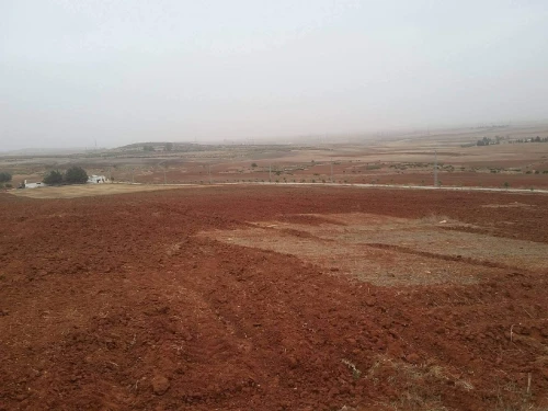 Vente Terrain Agricole Sidi Bel Abbès Ben badis