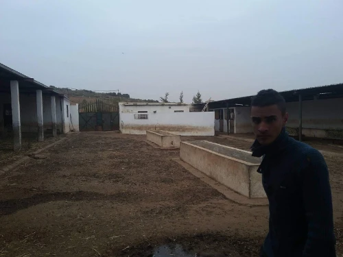 Vente Terrain Agricole Sidi Bel Abbès Ben badis
