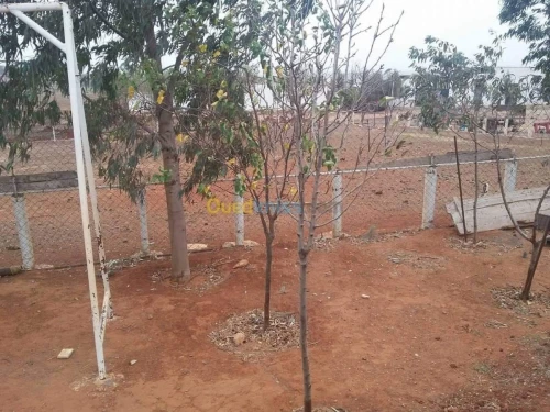 Vente Terrain Agricole Sidi Bel Abbès Ben badis