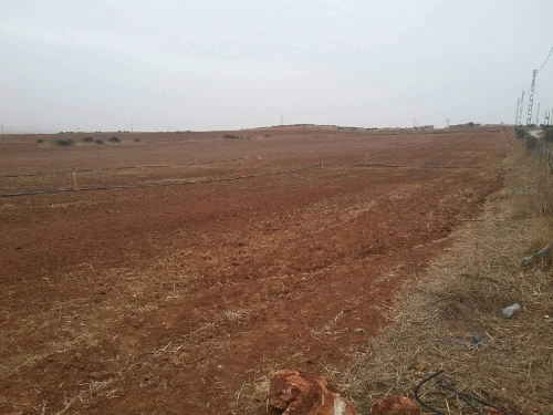 Vente Terrain Agricole Sidi Bel Abbès Ben badis
