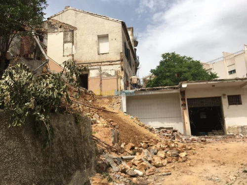 Vente Terrain Alger El mouradia