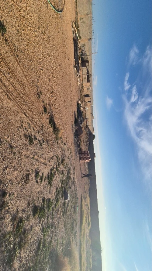 Vente bien immobilier M'Sila Ouled mansour