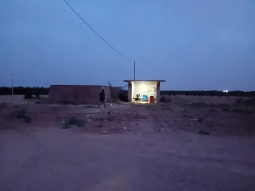 Vente Terrain Agricole Djelfa Had sahary