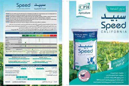 LUZERN SPEED الفصة سبيد