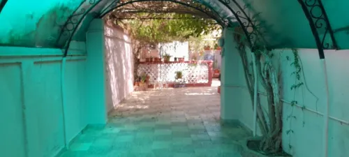 Vente Appartement Niveau de villa Chlef Chlef