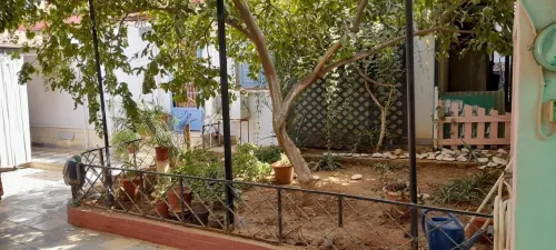 Vente Appartement Niveau de villa Chlef Chlef