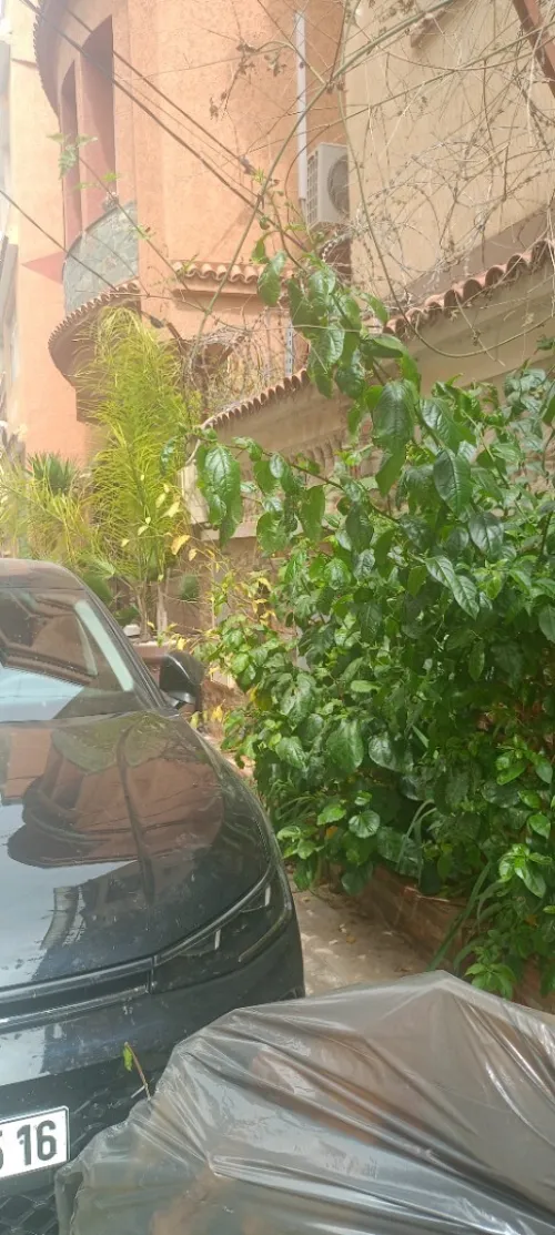 Location Villa Alger Birkhadem