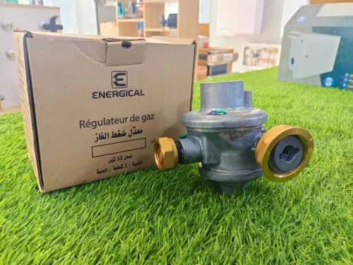 ENERGICAL Déthendeur Gaz B06 B10 B25