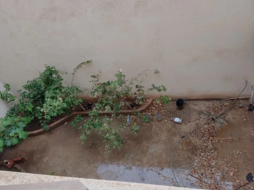 Vente Villa Médéa Ksar boukhari