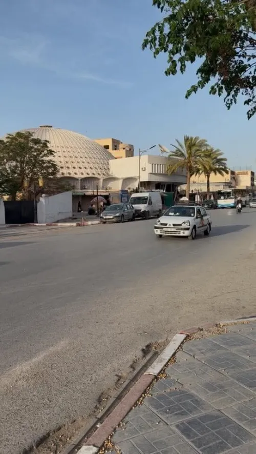 Vente Local Sidi Bel Abbès Sidi bel abbes