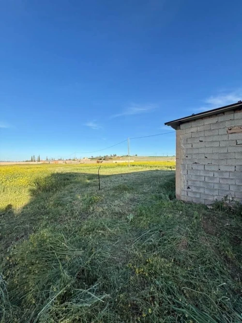 Vente Terrain Agricole Sidi Bel Abbès Tilmouni
