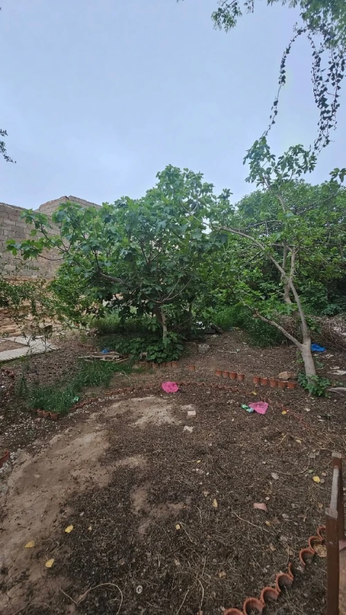 Vente Terrain Sidi Bel Abbès Sidi bel abbes