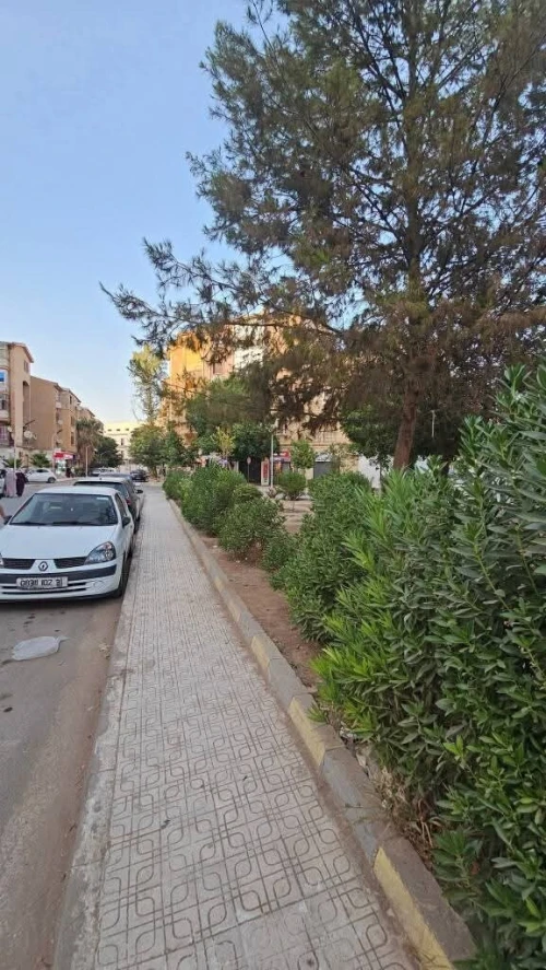 Vente Appartement F4 Sidi Bel Abbès Sidi bel abbes