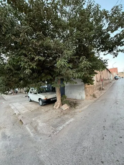 Vente Terrain Sidi Bel Abbès Sidi bel abbes