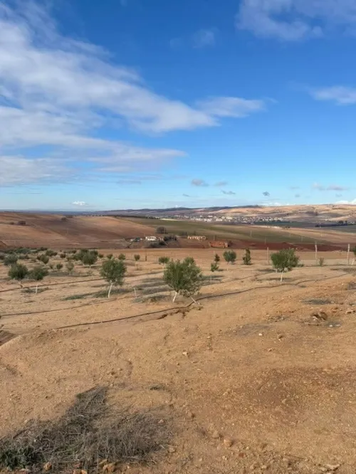 Vente Terrain Sidi Bel Abbès Mostefa ben brahim