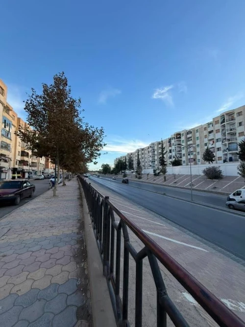 Vente Local Sidi Bel Abbès Sidi bel abbes