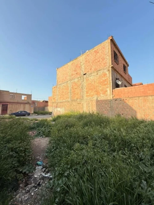 Vente Terrain Sidi Bel Abbès Amarnas