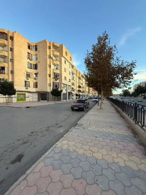 Vente Local Sidi Bel Abbès Sidi bel abbes