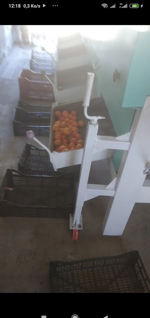 Machine triage (calibreuse) des fruits