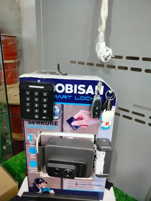 Installation caméra de surveillance et Interphone et visiophone sur Alger