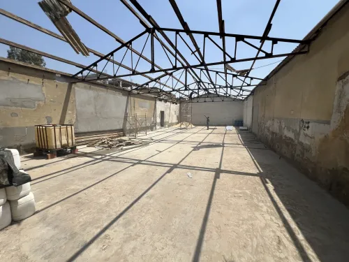 Location Hangar - Usine Alger Les eucalyptus