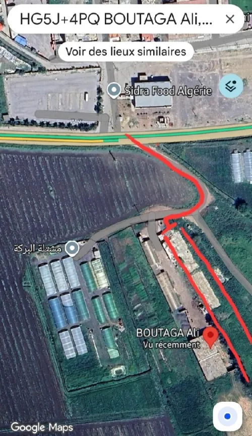 Vente Terrain Agricole Tipaza Sidi rached
