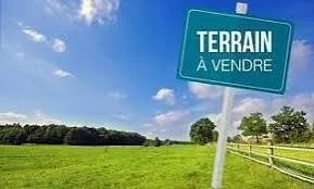 Vente Terrain Agricole Tipaza Sidi rached