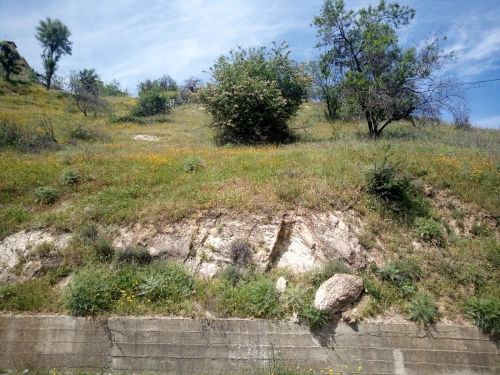 Vente Terrain Tizi Ouzou Ain el hammam
