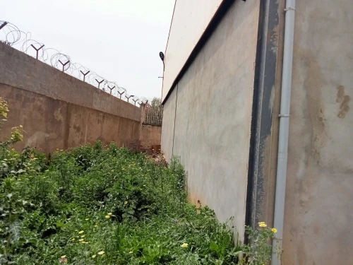 Vente Usine Tipaza Bourkika