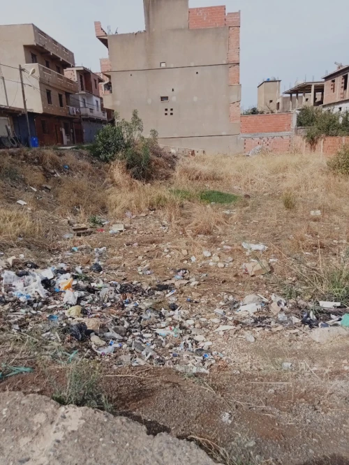 Vente Terrain Tipaza Hadjeret ennous