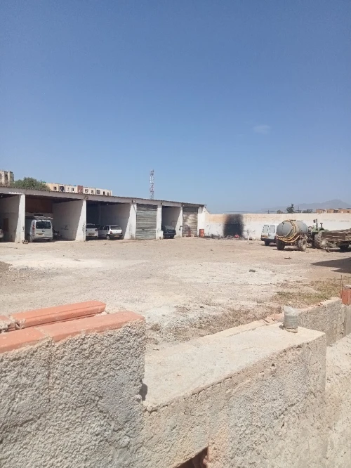 Vente Immeuble Tipaza Hadjout