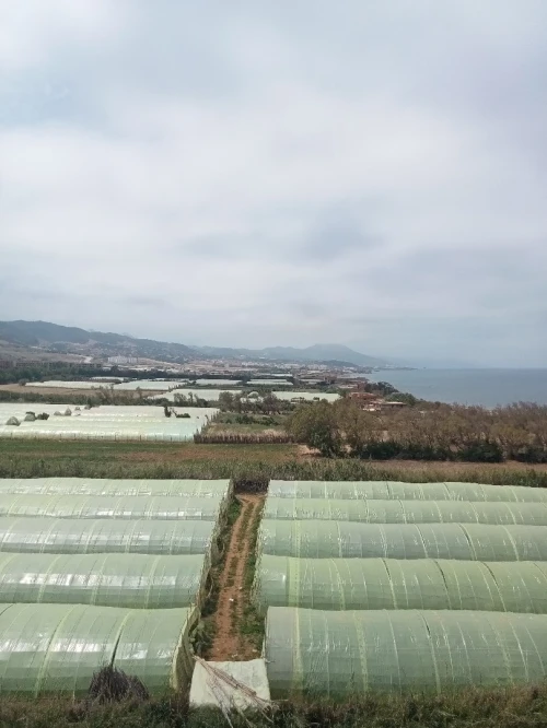 Vente Appartement F3 Tipaza Cherchell