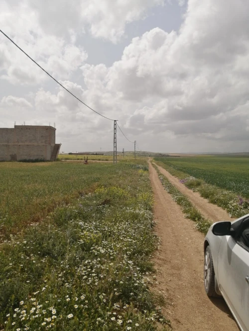 Location Terrain Agricole Bordj Bou Arreridj Ras el oued