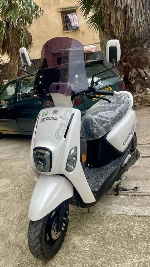 Vms Cuxi 2025