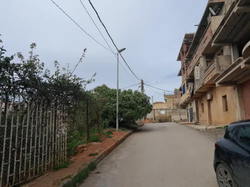 Vente Terrain Alger Zeralda