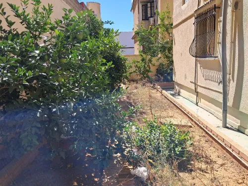 Location Villa Alger Draria