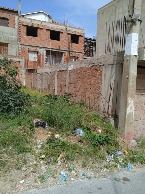 Vente Carcasse Tipaza Sidi rached