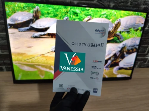 télévision géant