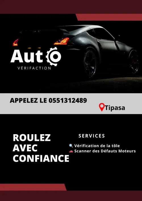 Vérification voiture la tôle+scanner 