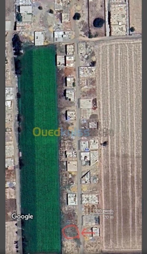Vente Terrain Chlef Oued fodda