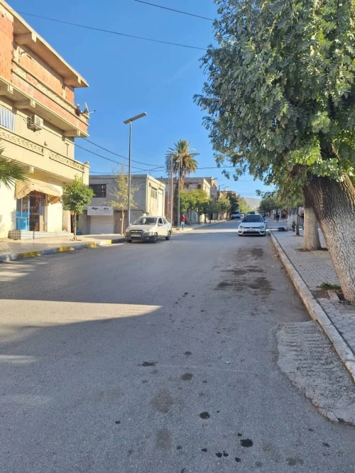 Vente Terrain Constantine Ibn ziad